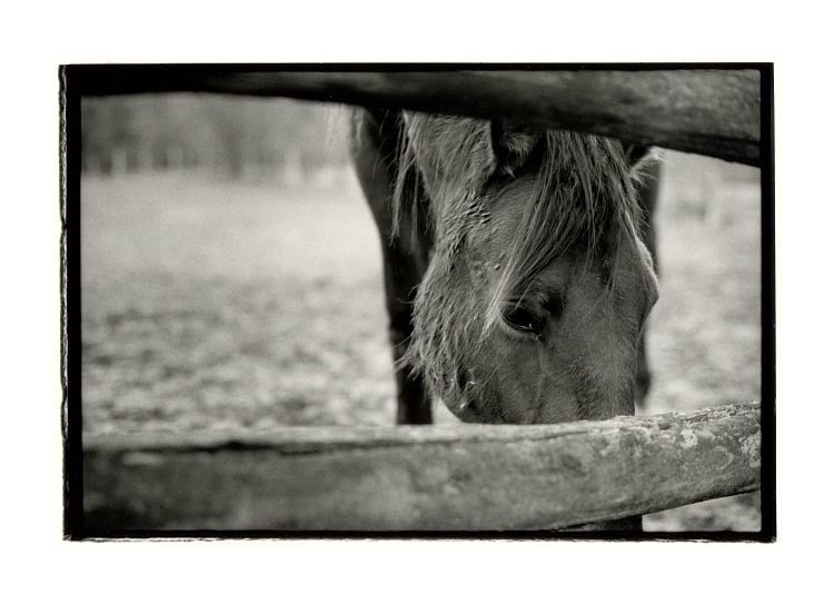 Echange... (FB Warm Tone Print)