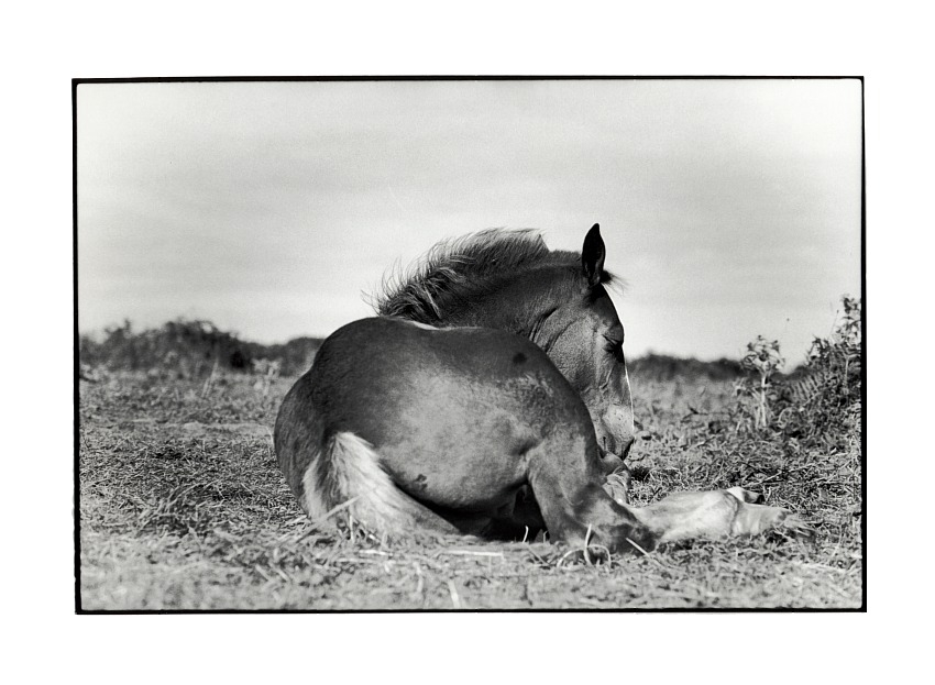 Vent arrire  (FB Warm Tone Print)