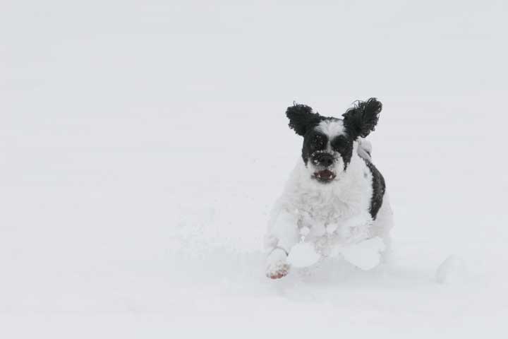 Tucker  lots of fun