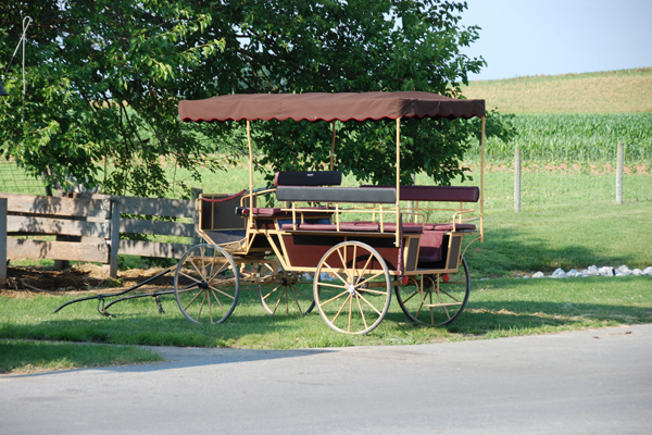 Amish Buggy 06  a.jpg