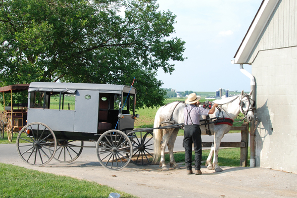 Amish Buggy 09  a.jpg