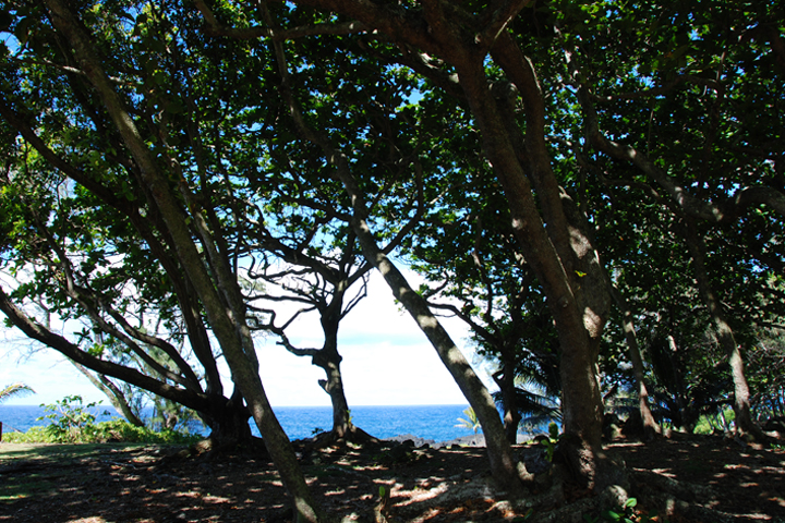 Beach 02.jpg