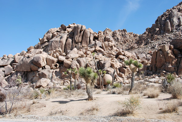 Rocks 01.jpg