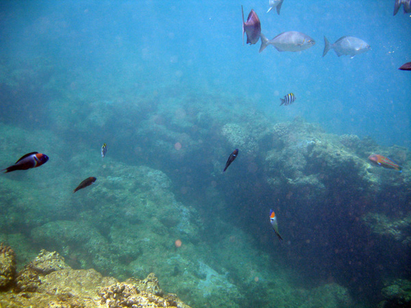 underwater 05.jpg