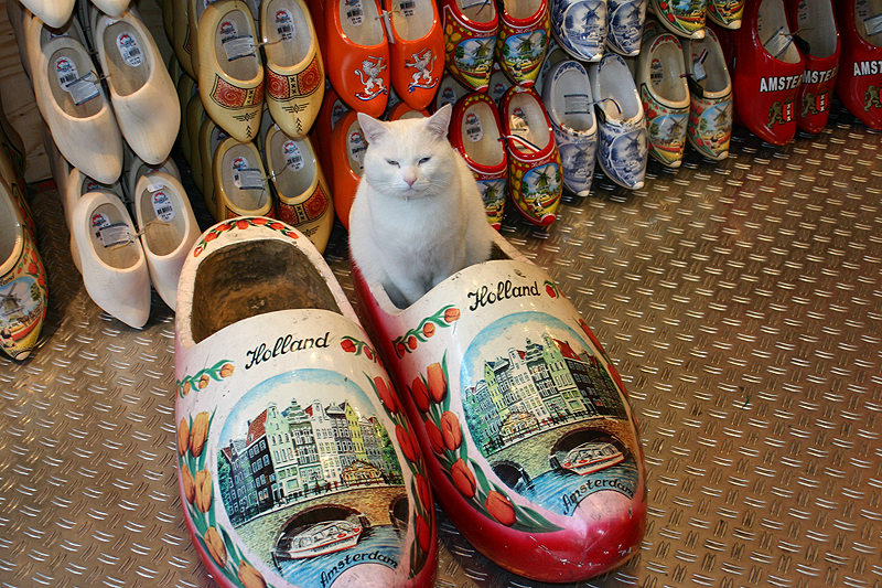 amsterdam_002.jpg