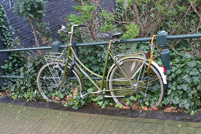 amsterdam_003.jpg