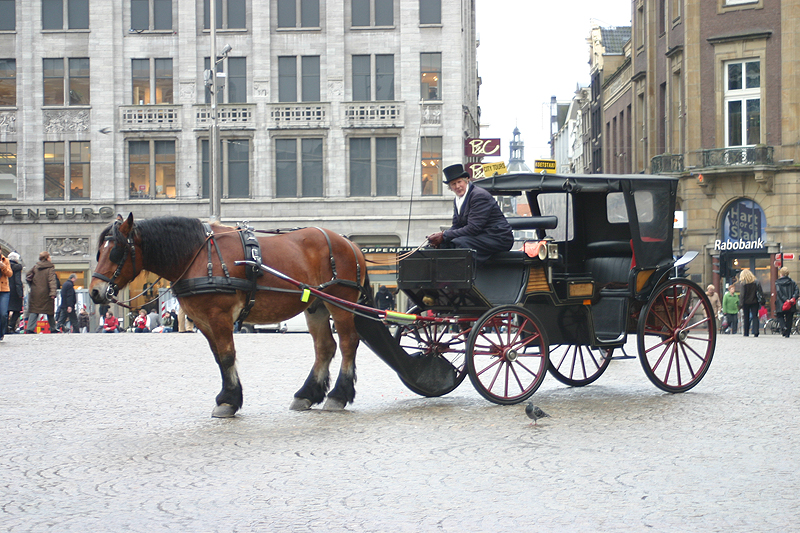 amsterdam_017.jpg
