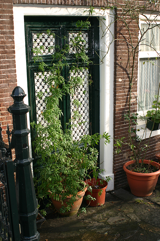 amsterdam_033.jpg