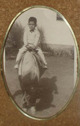 Scanned in Pictures