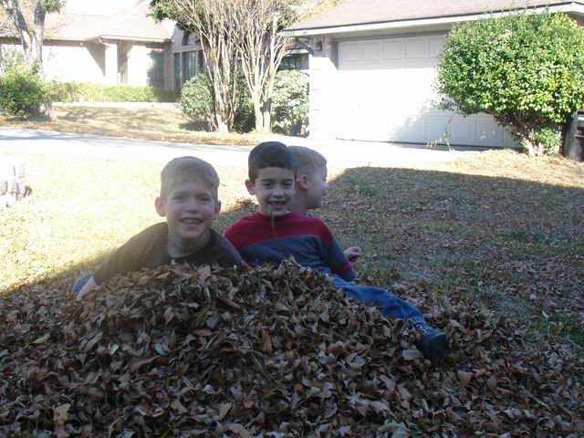 The boys raking leaves