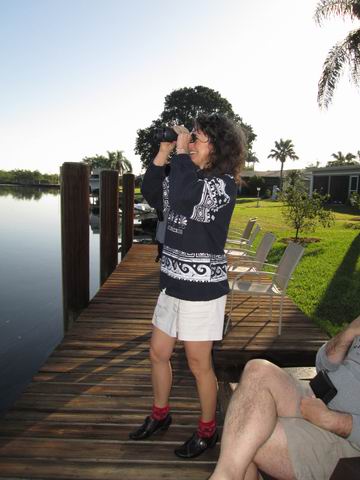 looking for the eagles