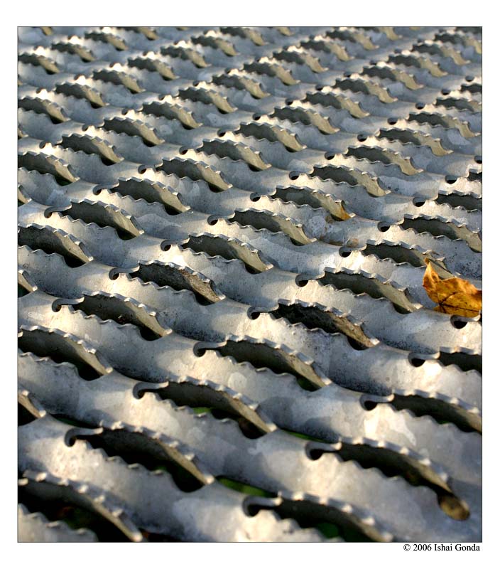 autum(abstract)