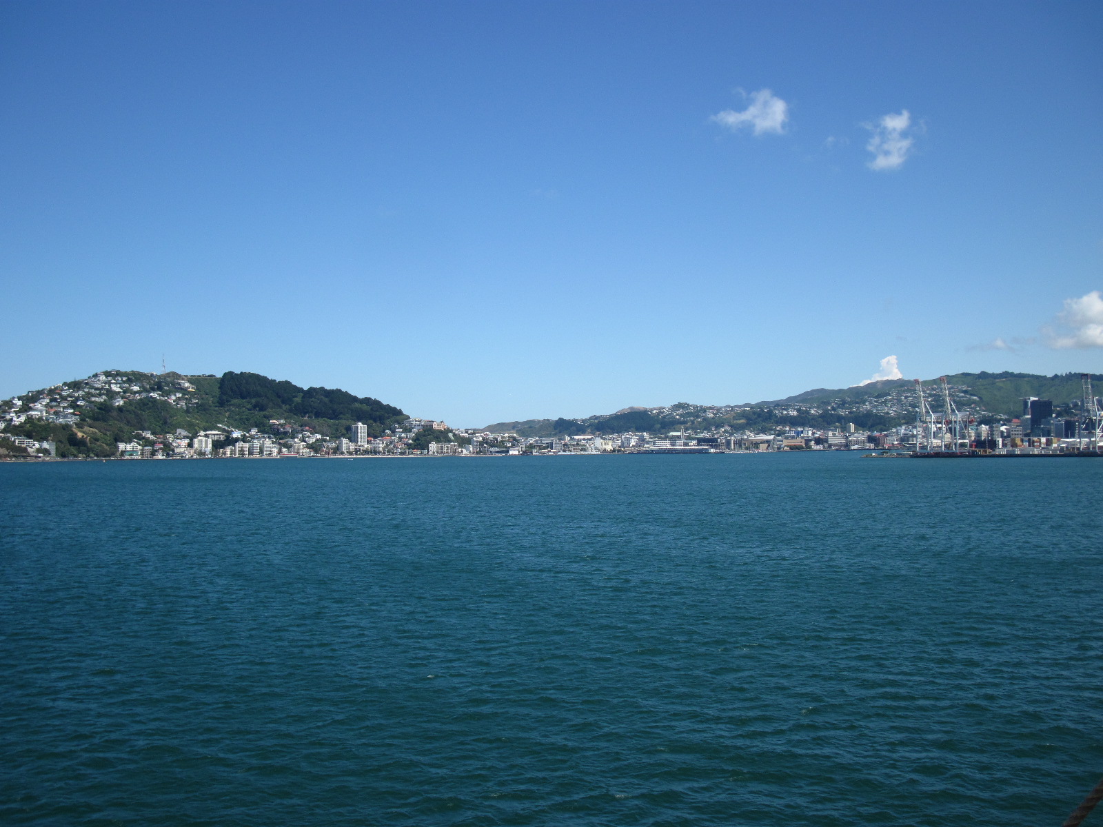 IMG_0986.JPG