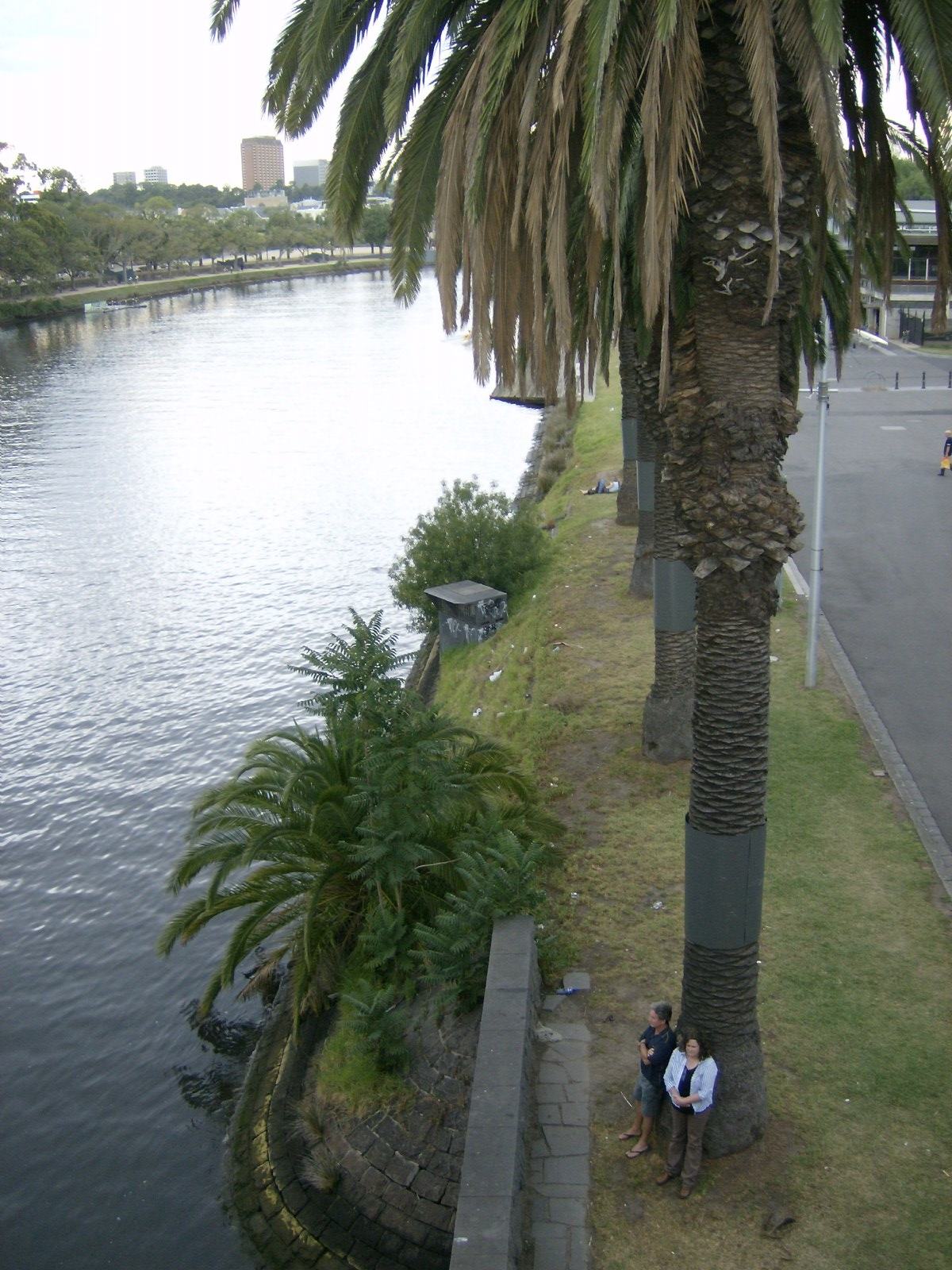 Yarra River in the evening