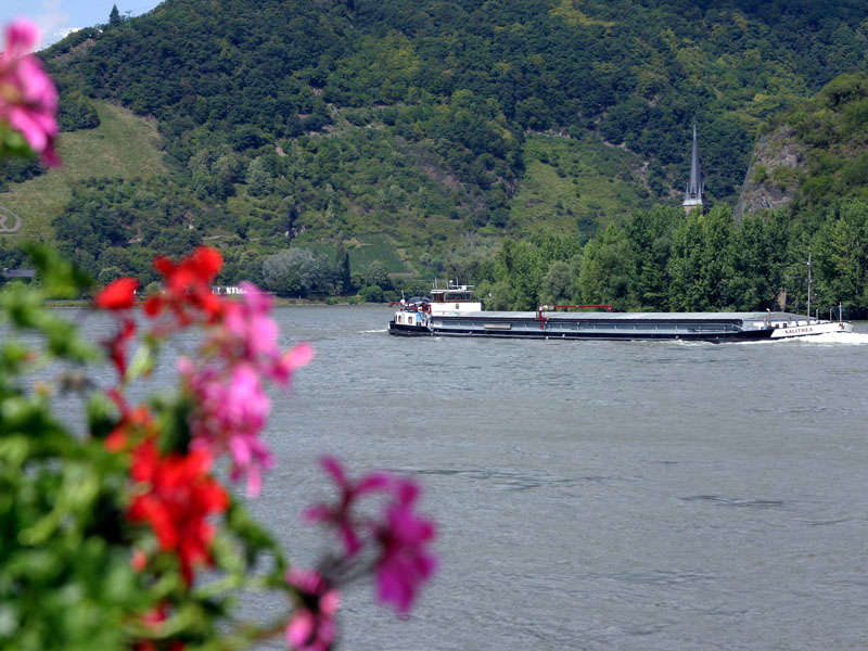 Boppard - July 2007