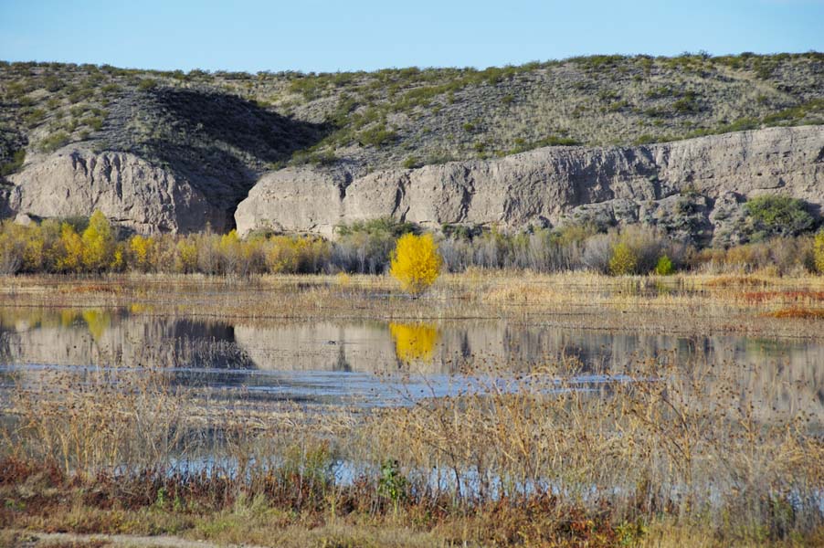 Pond at the Bosque
