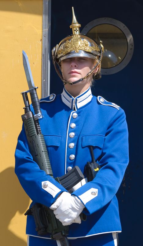 Garde au Palais royal  Gamla Sta,