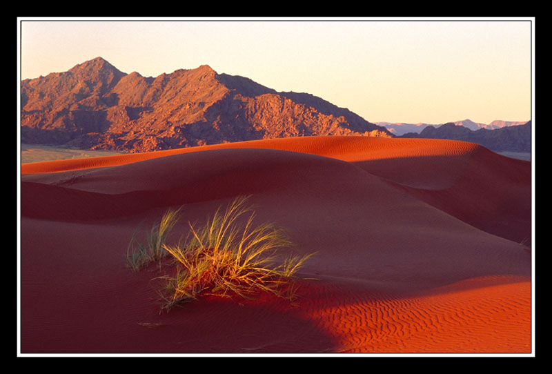 La dune dElim pres de Sossusvlei