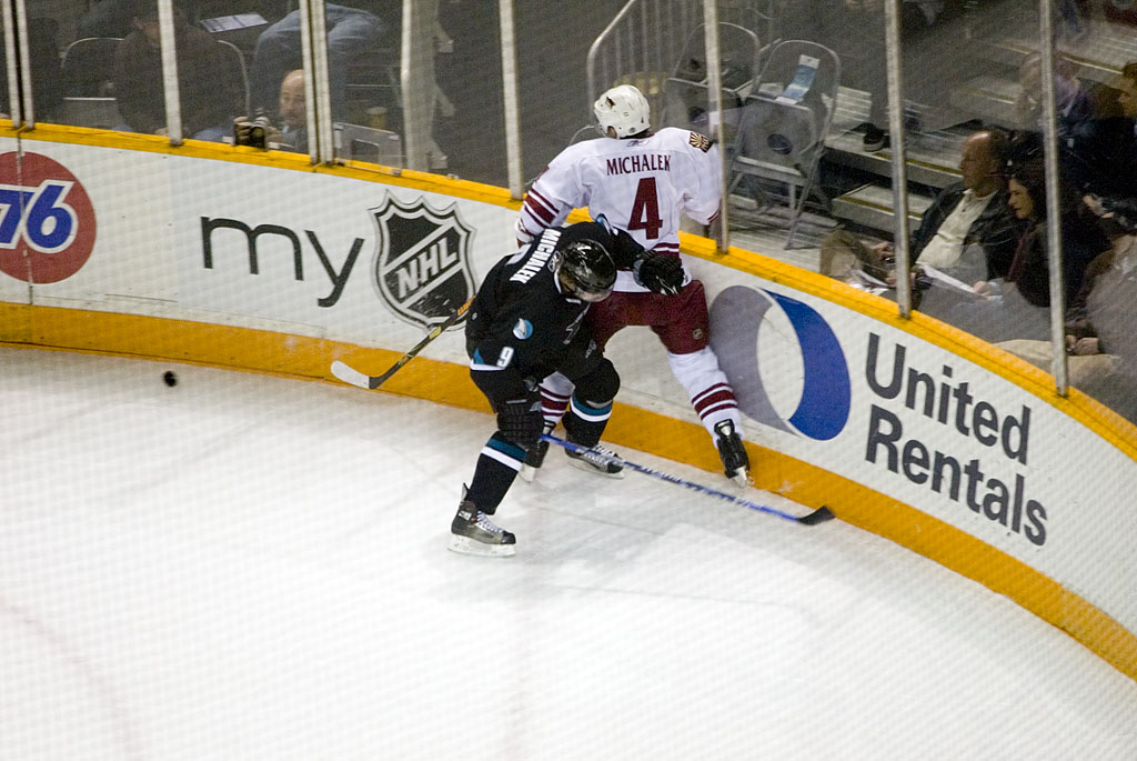  Milan Michalek and Zbynek Michalek