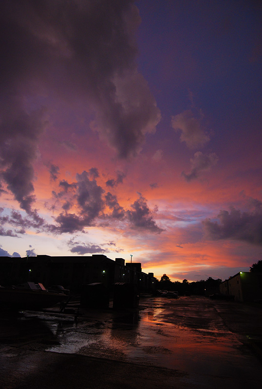 Whats after the rain.....