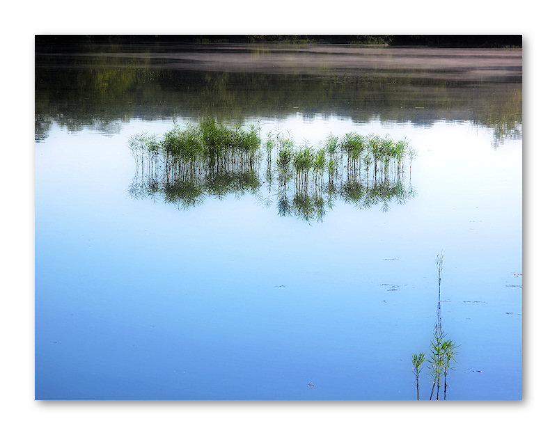 Summer Reflections