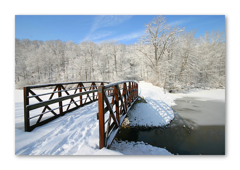 Winter Wonderland