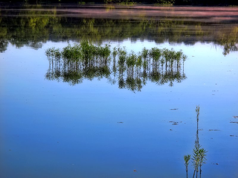 Very Calm