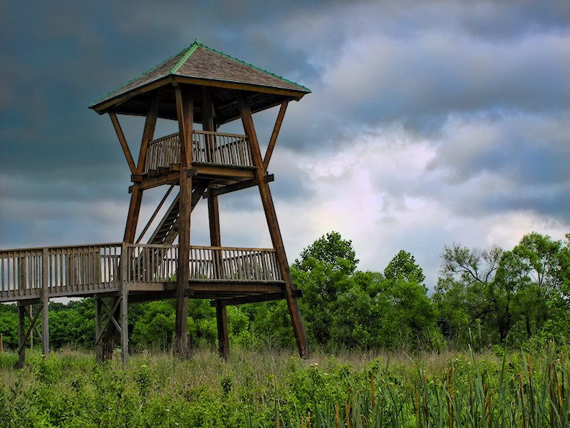 The Lookout Tower