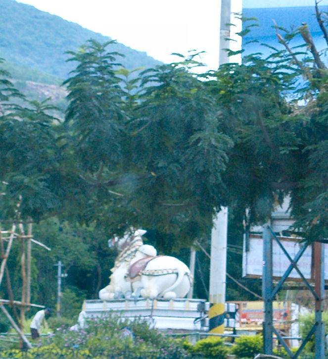 Nandi Circle