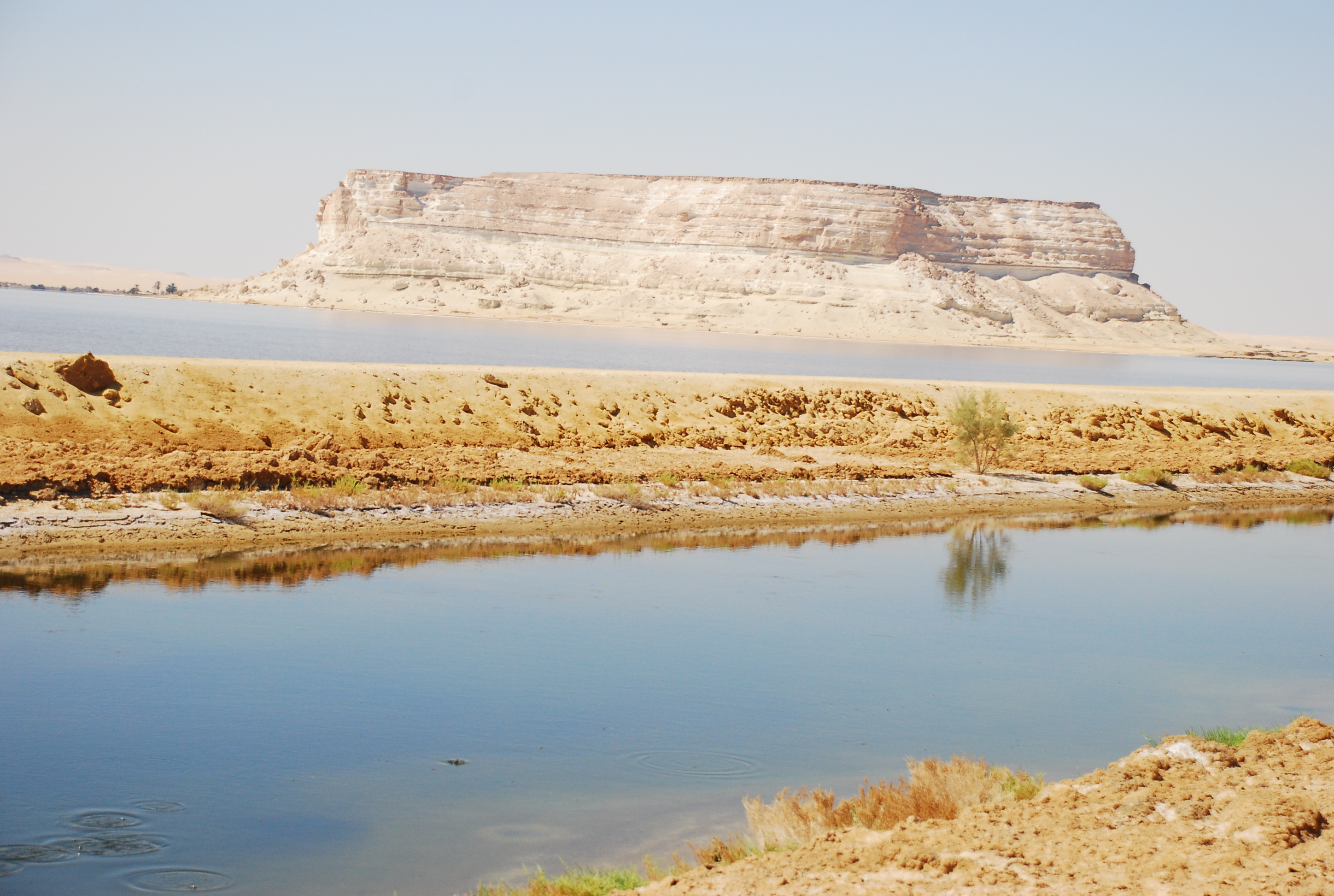 DSC_0073.JPG