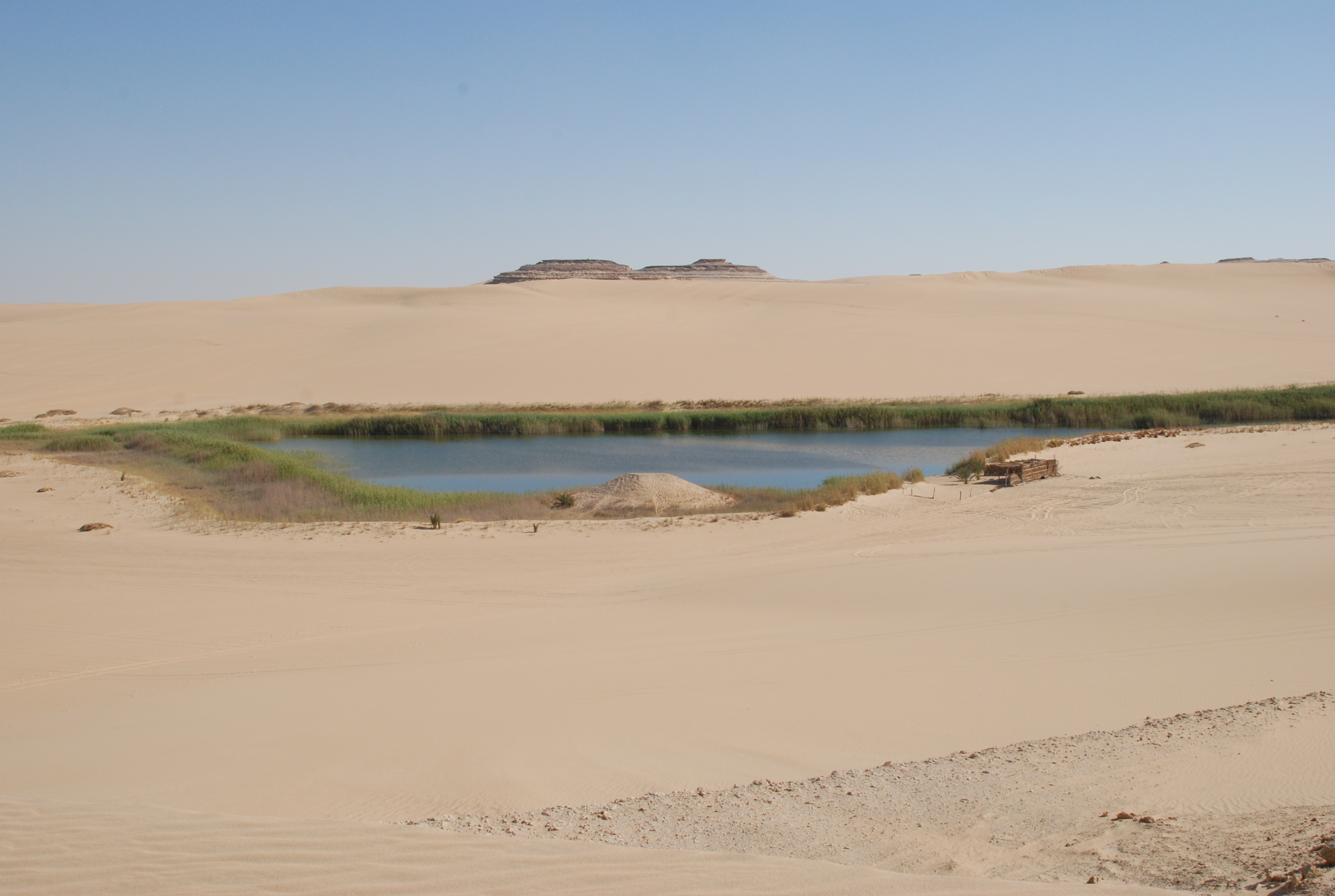 DSC_0188.JPG