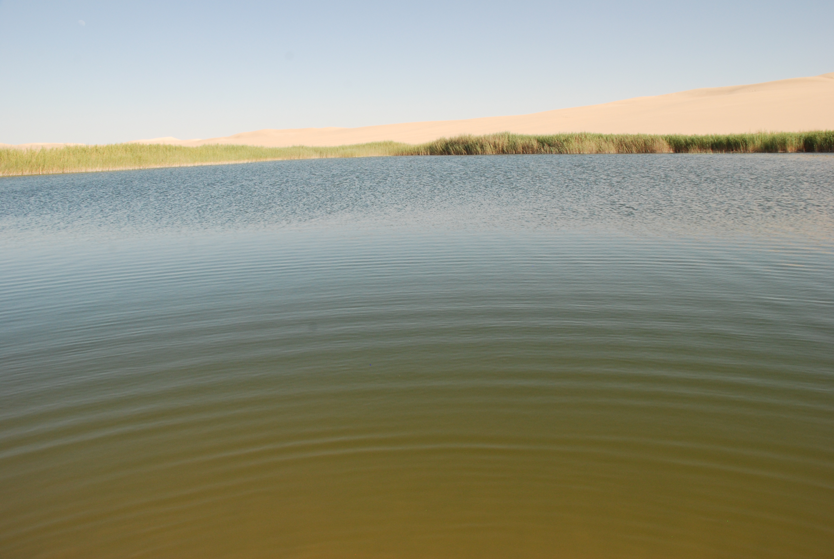 DSC_0197.JPG
