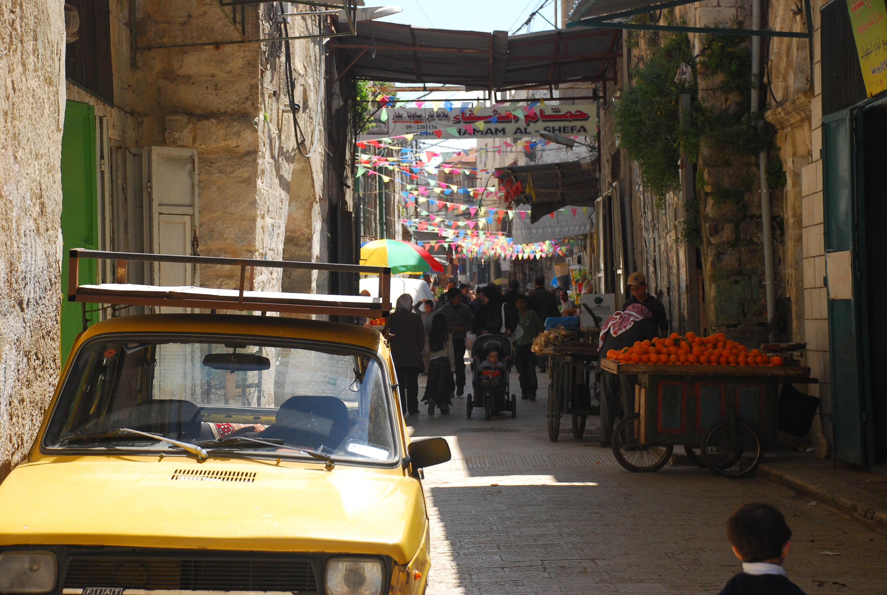 DSC_0915.JPG