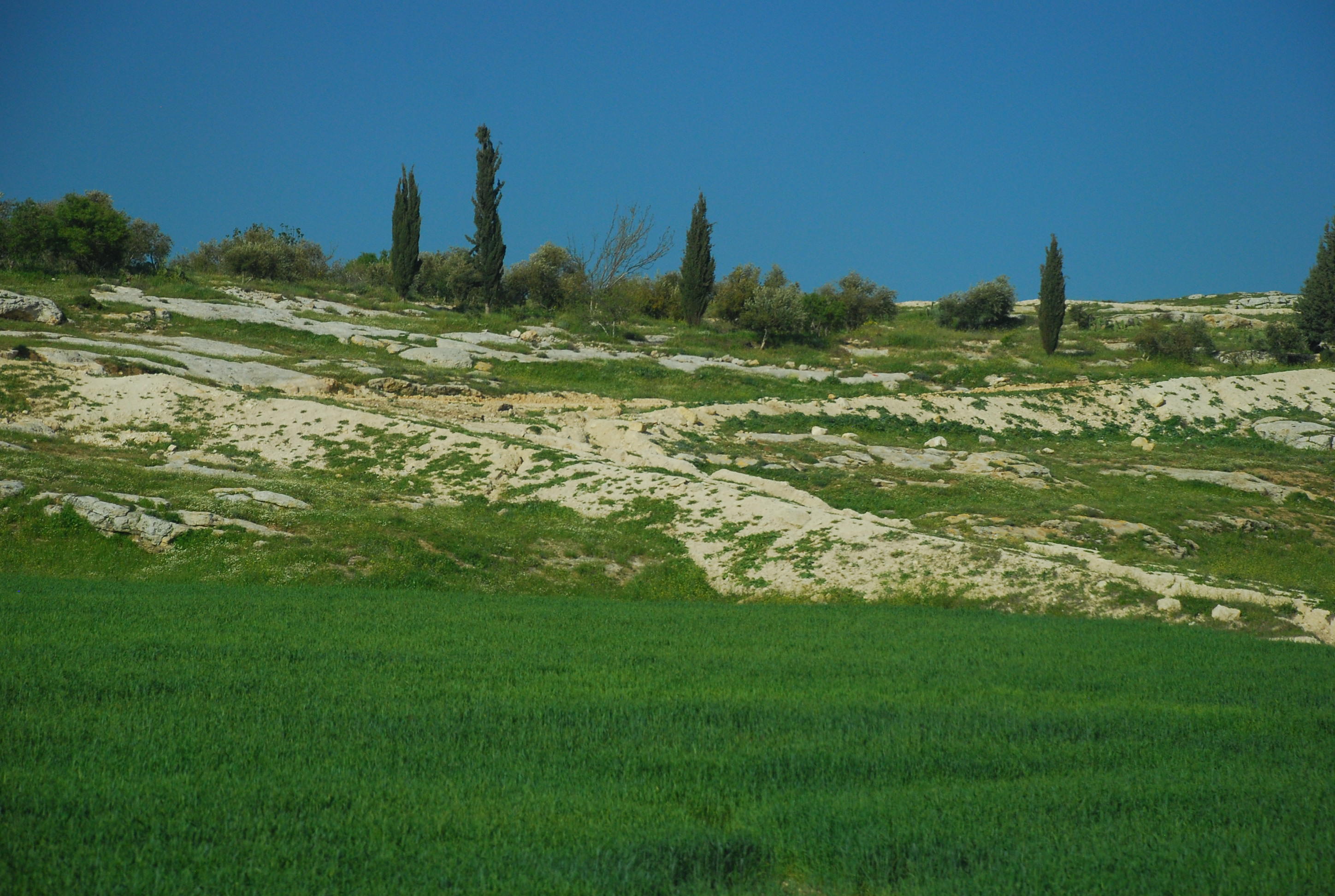 DSC_0917.JPG