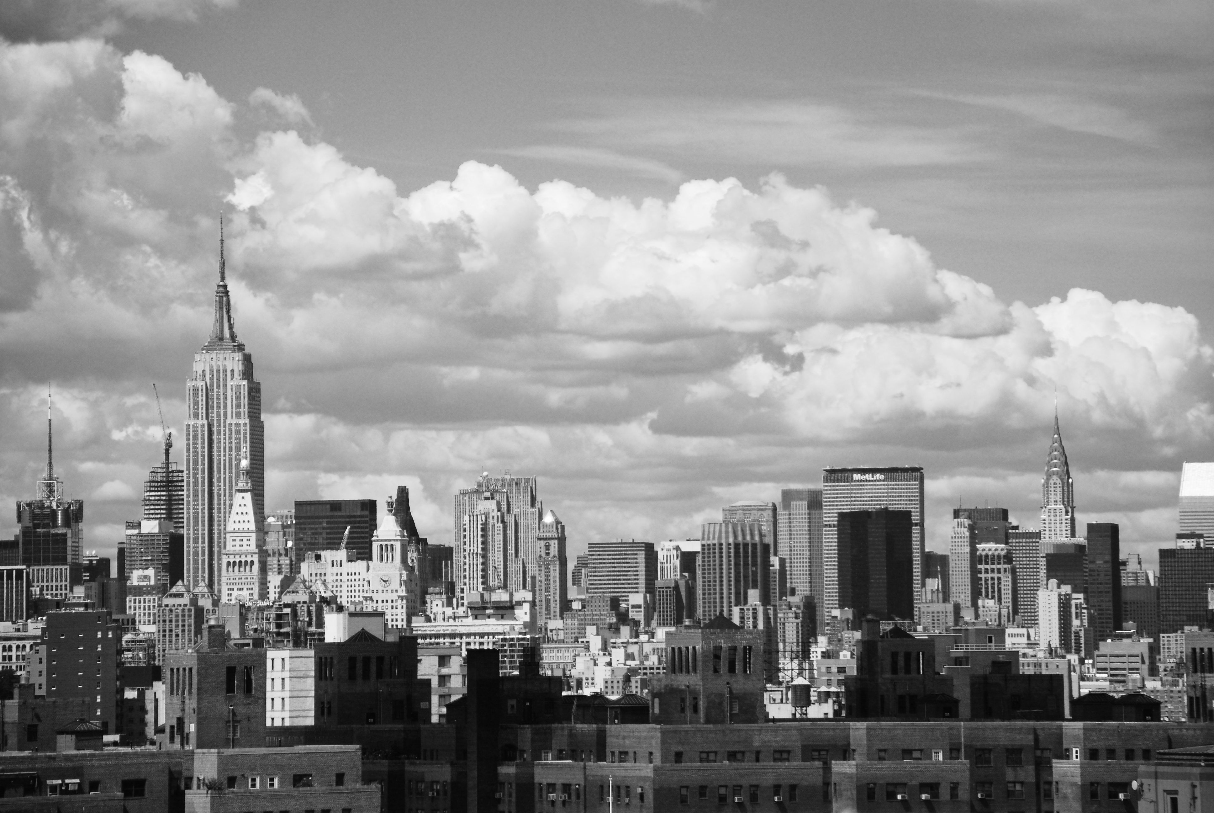 DSC_0849.JPG