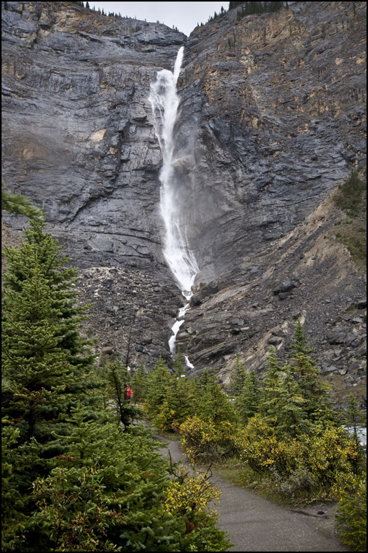 _DSC5778.jpg-800