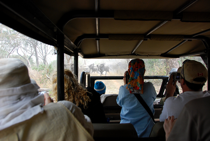 Yankari Game Drive