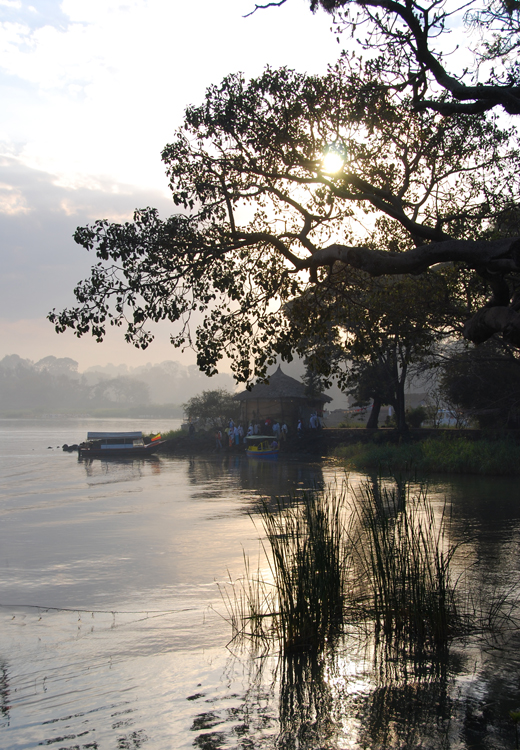 Lake Tana Morning II