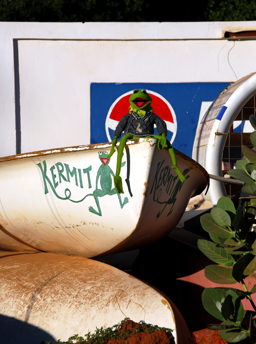 Kermit in Khartoum