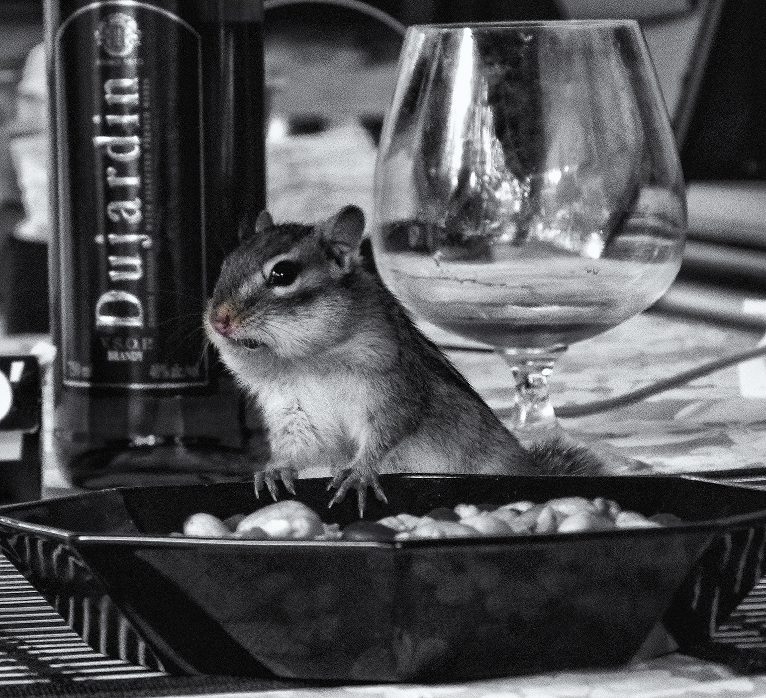 Between vodka and appetizer.jpg