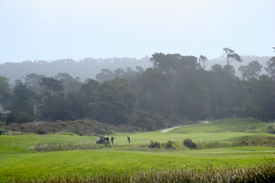 sDSC00759.JPG