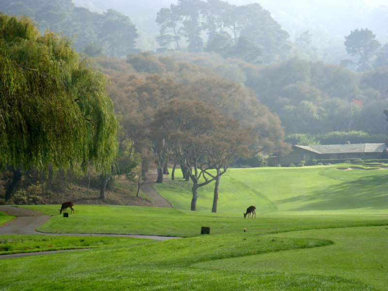sDSC00857.JPG