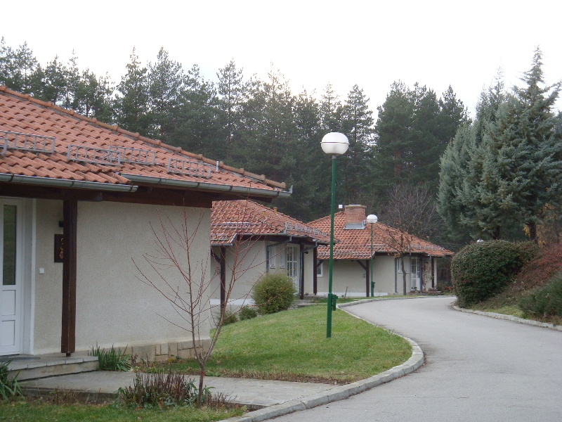 sDSC06081.JPG