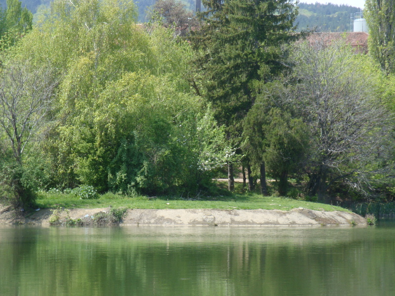 sDSC06996.JPG
