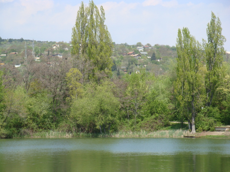 sDSC06999.JPG