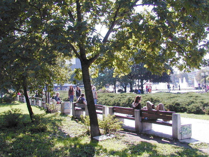 sP9230915.JPG