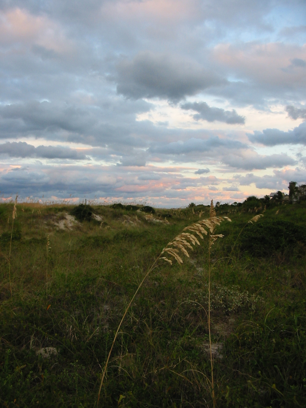 Tybee Island, GA Sunset