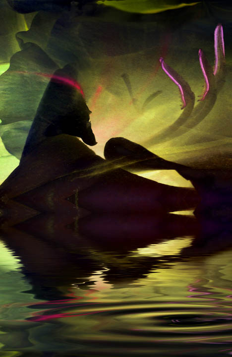 The Deep Shallows