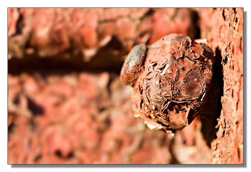 Rust 01