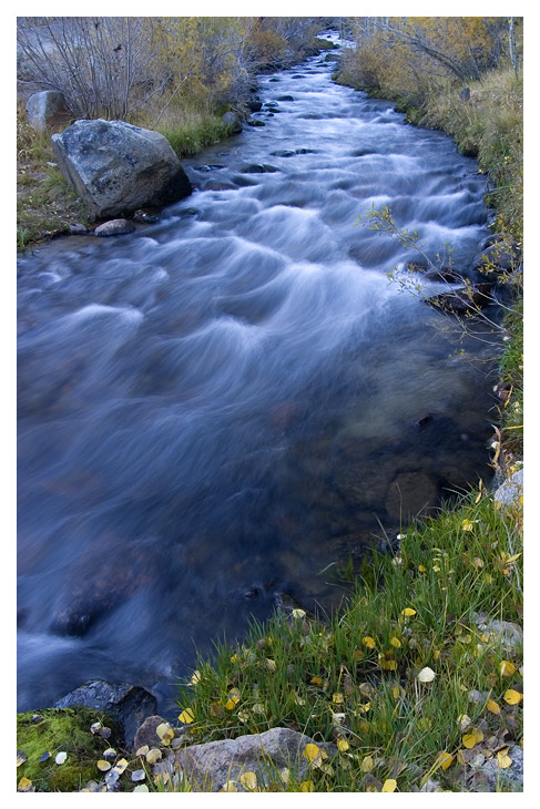 CRW_8191.jpg